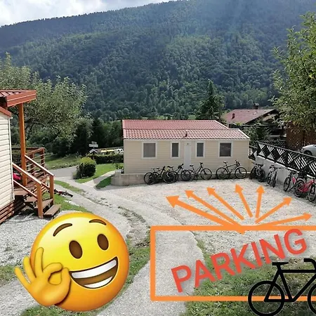 Denis Tolmin