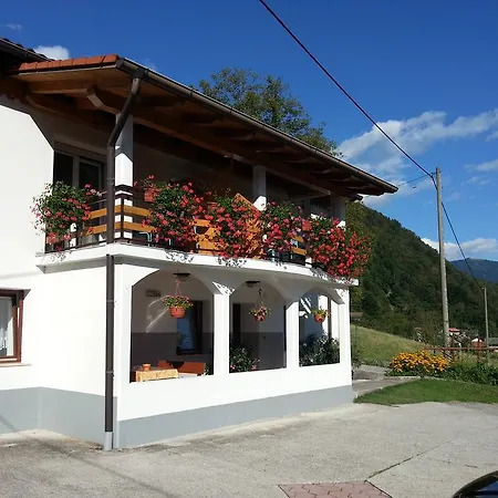 Denis * Tolmin