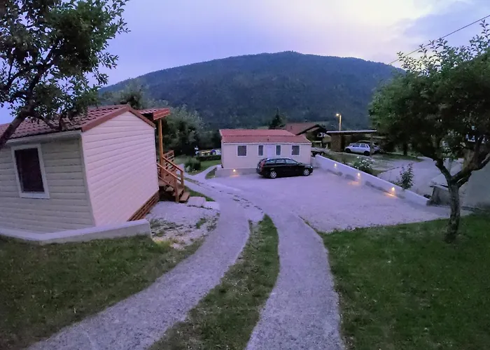 デニス トールミン